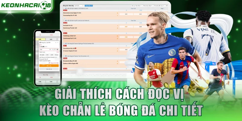 Giải thích cách đọc vị kèo chẵn lẻ bóng đá chi tiết