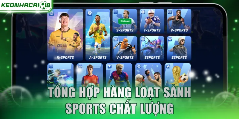 Tổng hợp hàng loạt sảnh sports chất lượng